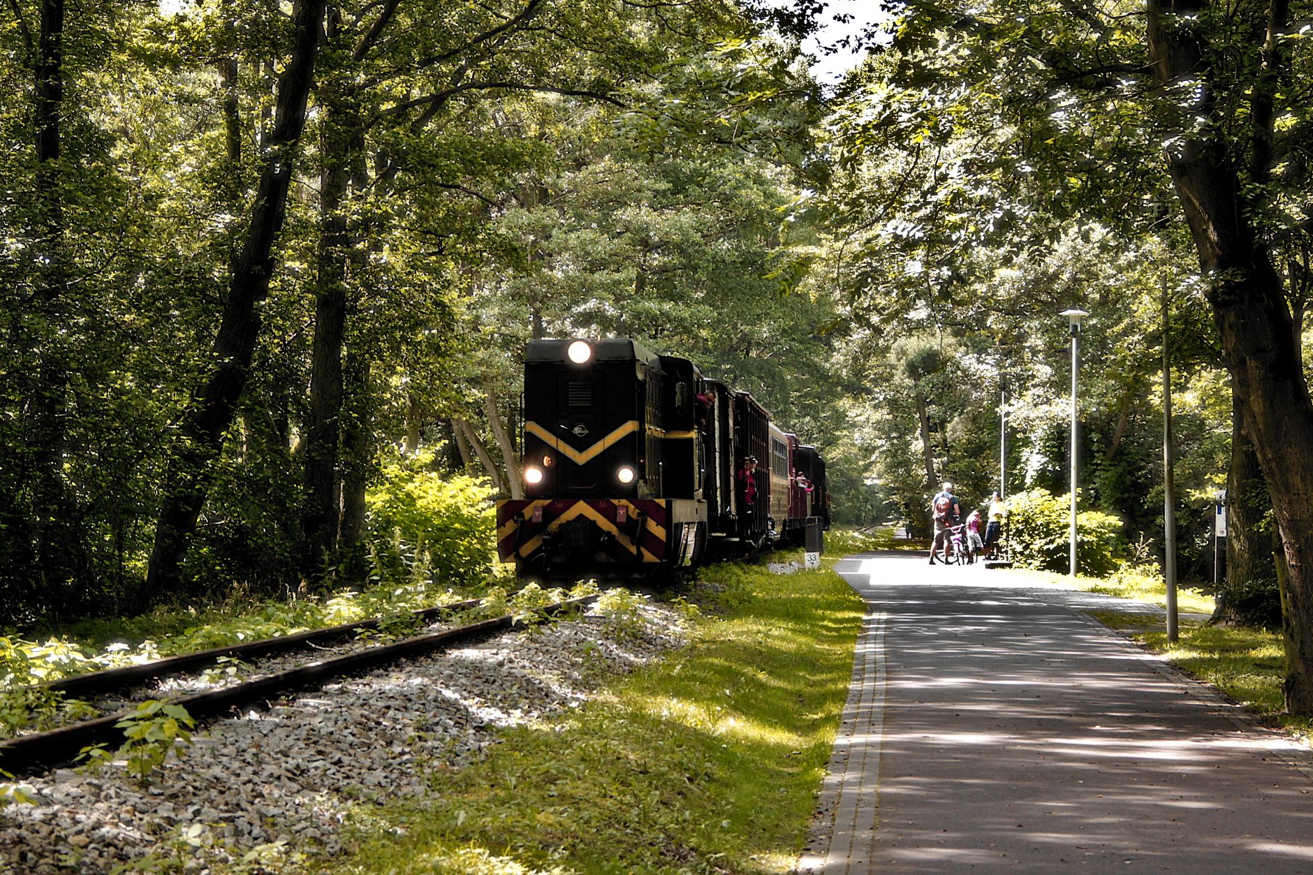 A small train travels through a lush forest path, meeting cyclists on a sunny day.