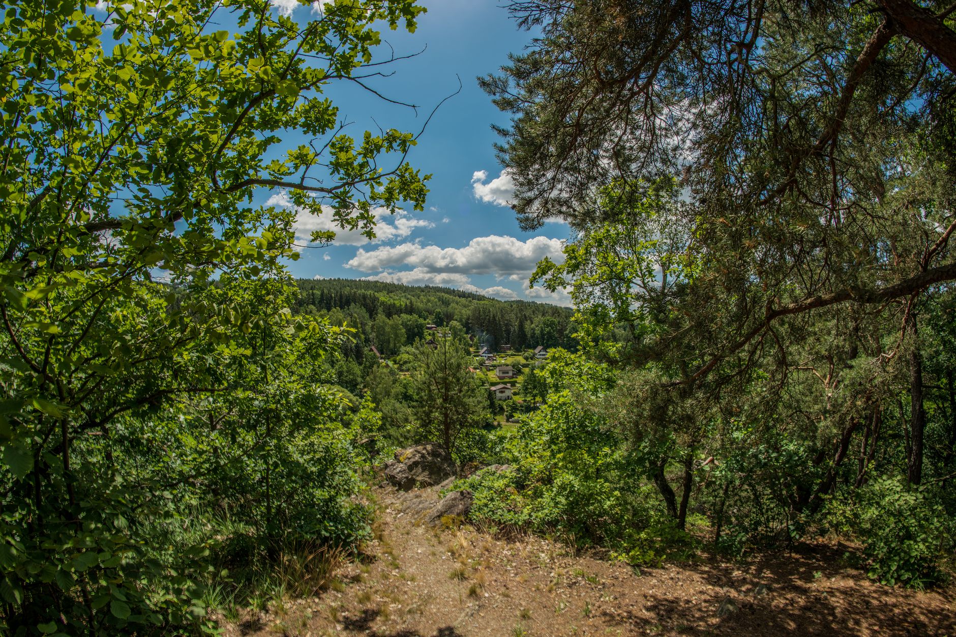 Explore a scenic forest path offering a stunning view of the valley under a bright summer sky.
