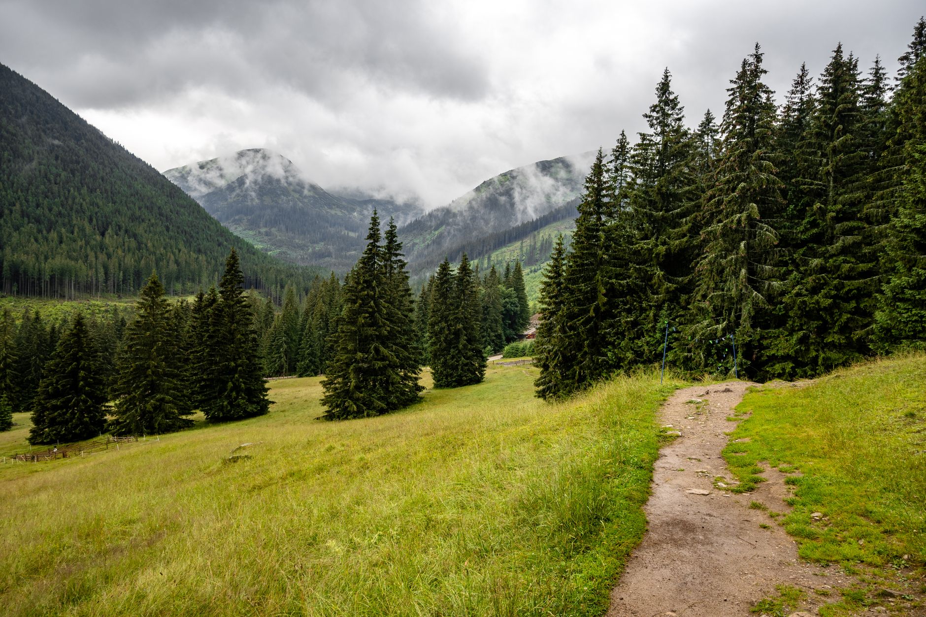 Explore the lush green trails of the Tatra Mountains under a cloudy sky.