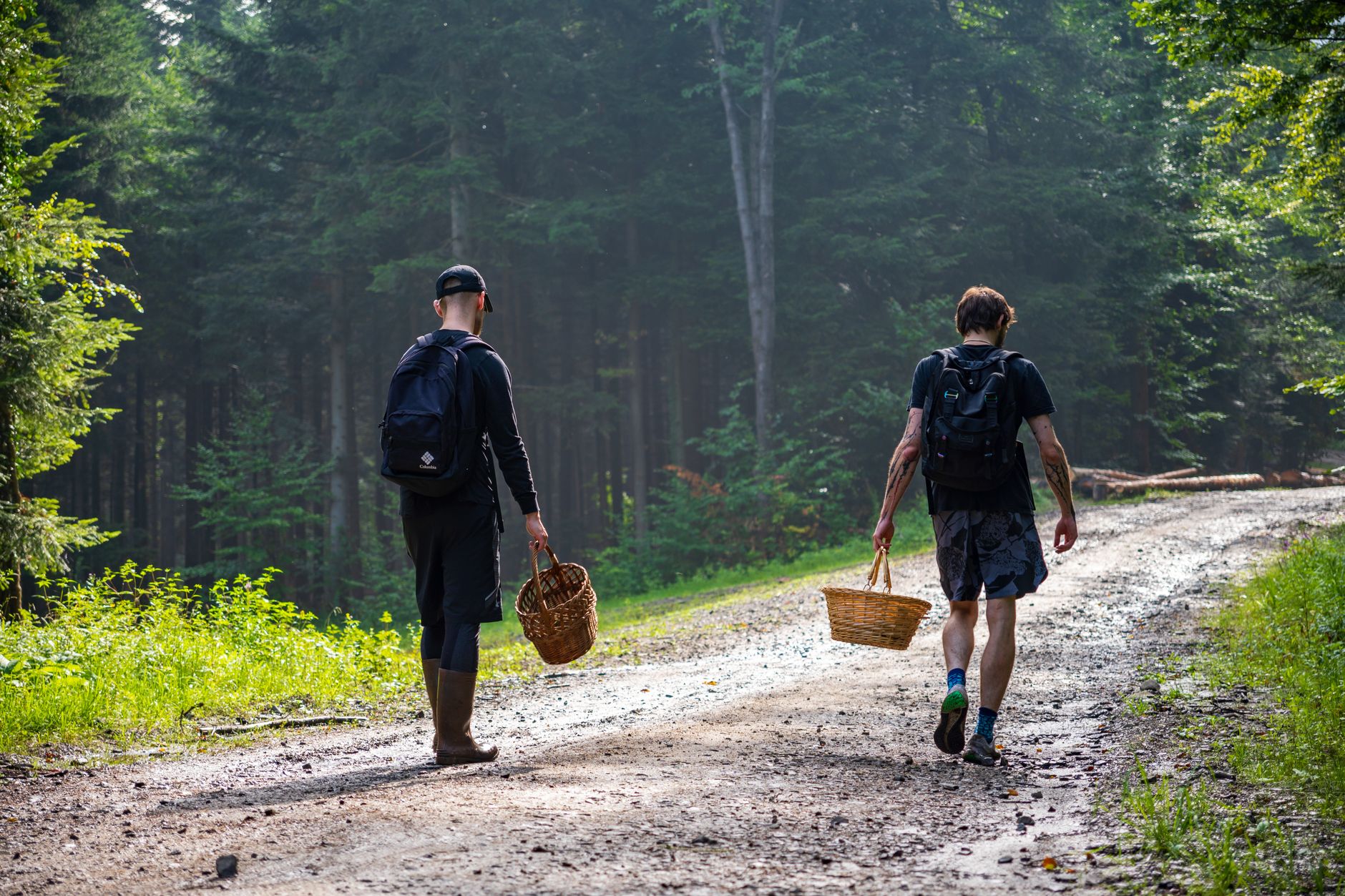 Two men enjoying a peaceful mushroom picking adventure in Myślenice forest.