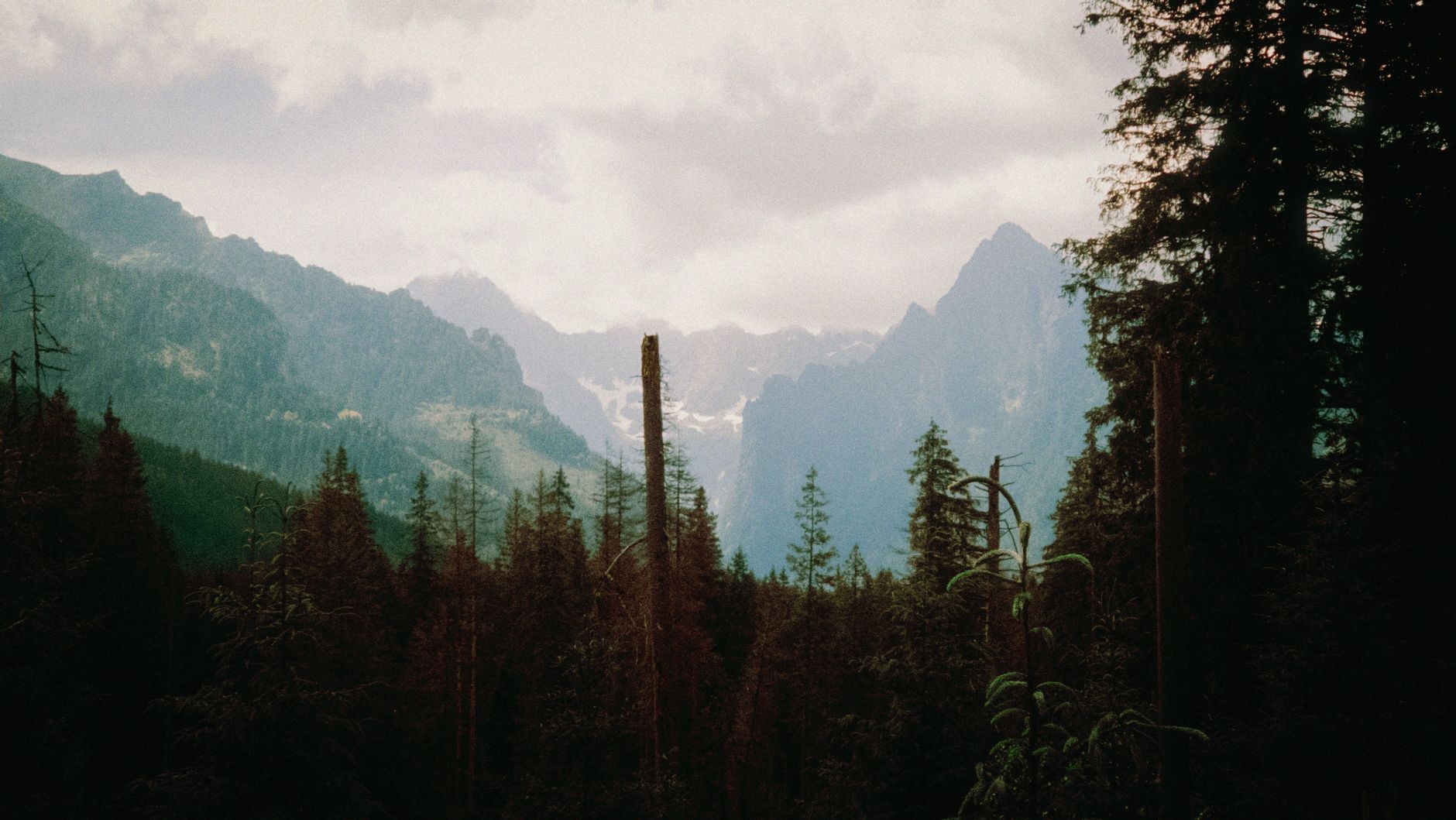 Breathtaking view of the High Tatras mountains surrounded by dense forest.