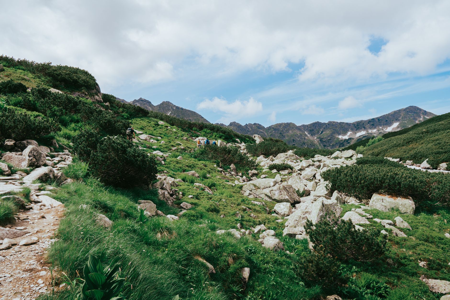 Explore the lush green hills and rocky terrain of the Tatra Mountains in summer, perfect for hiking and adventure.