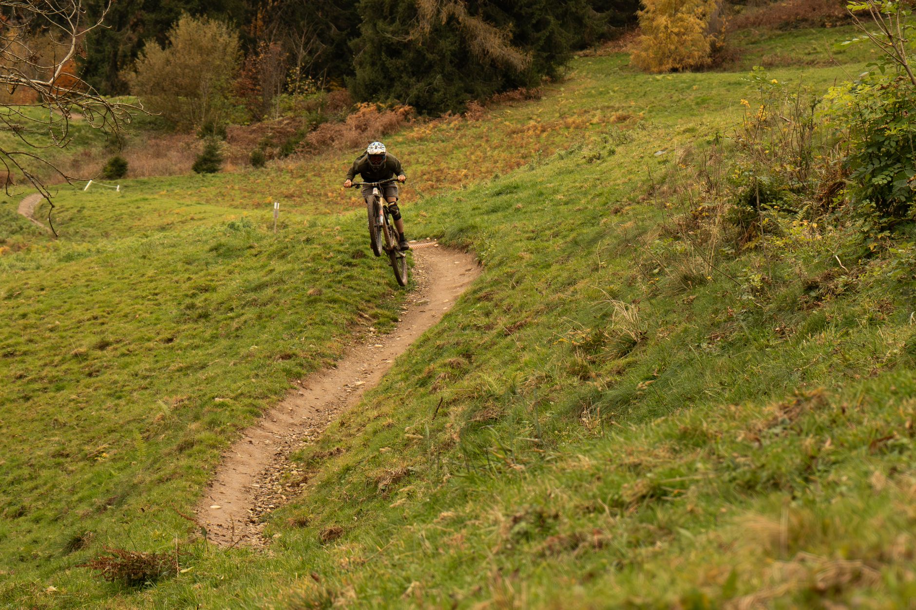 Mountain biker with helmet rides a winding trail through a lush forest landscape.