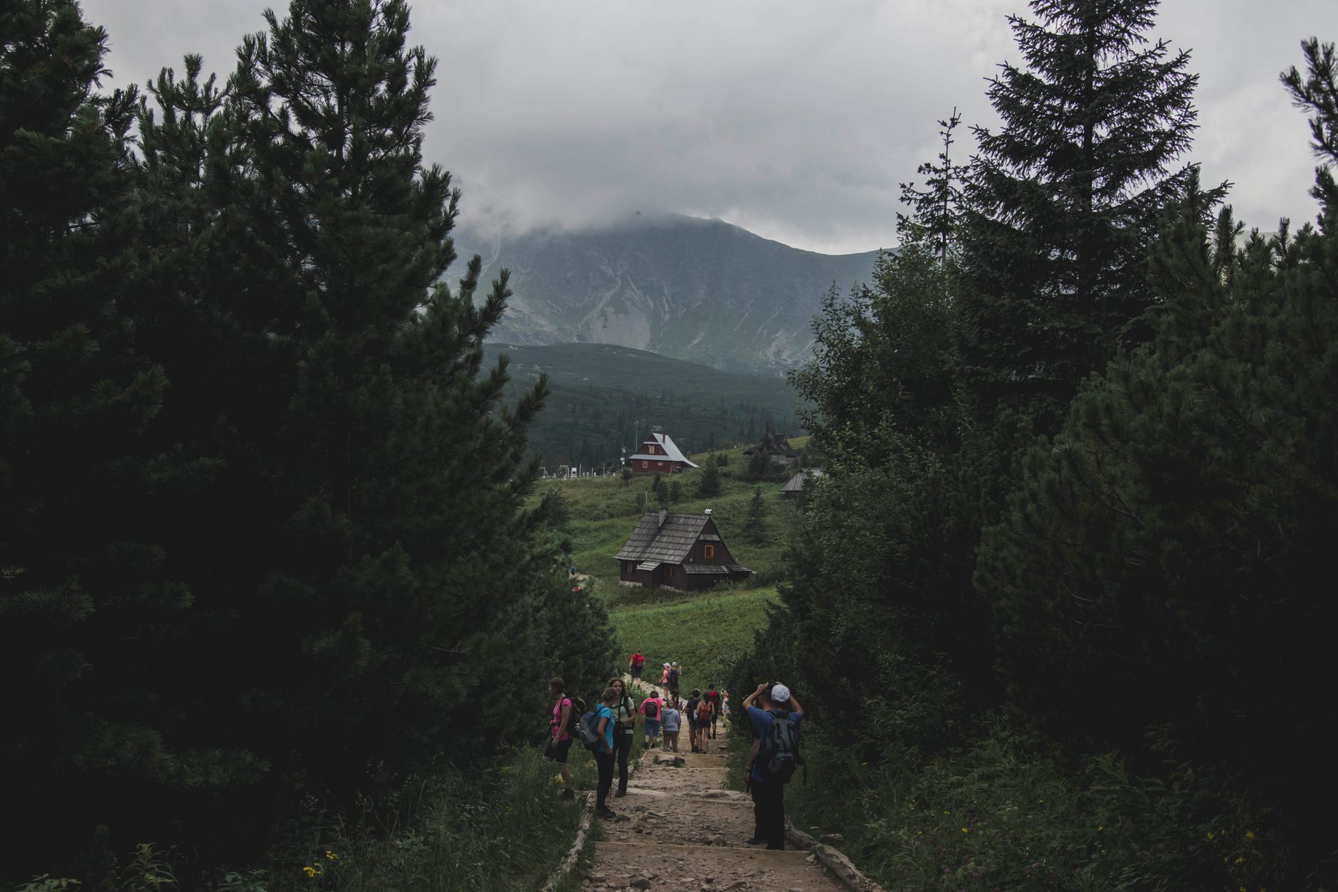 People hiking on a scenic mountain trail in Zakopane, Poland surrounded by lush trees and a cloudy sky.