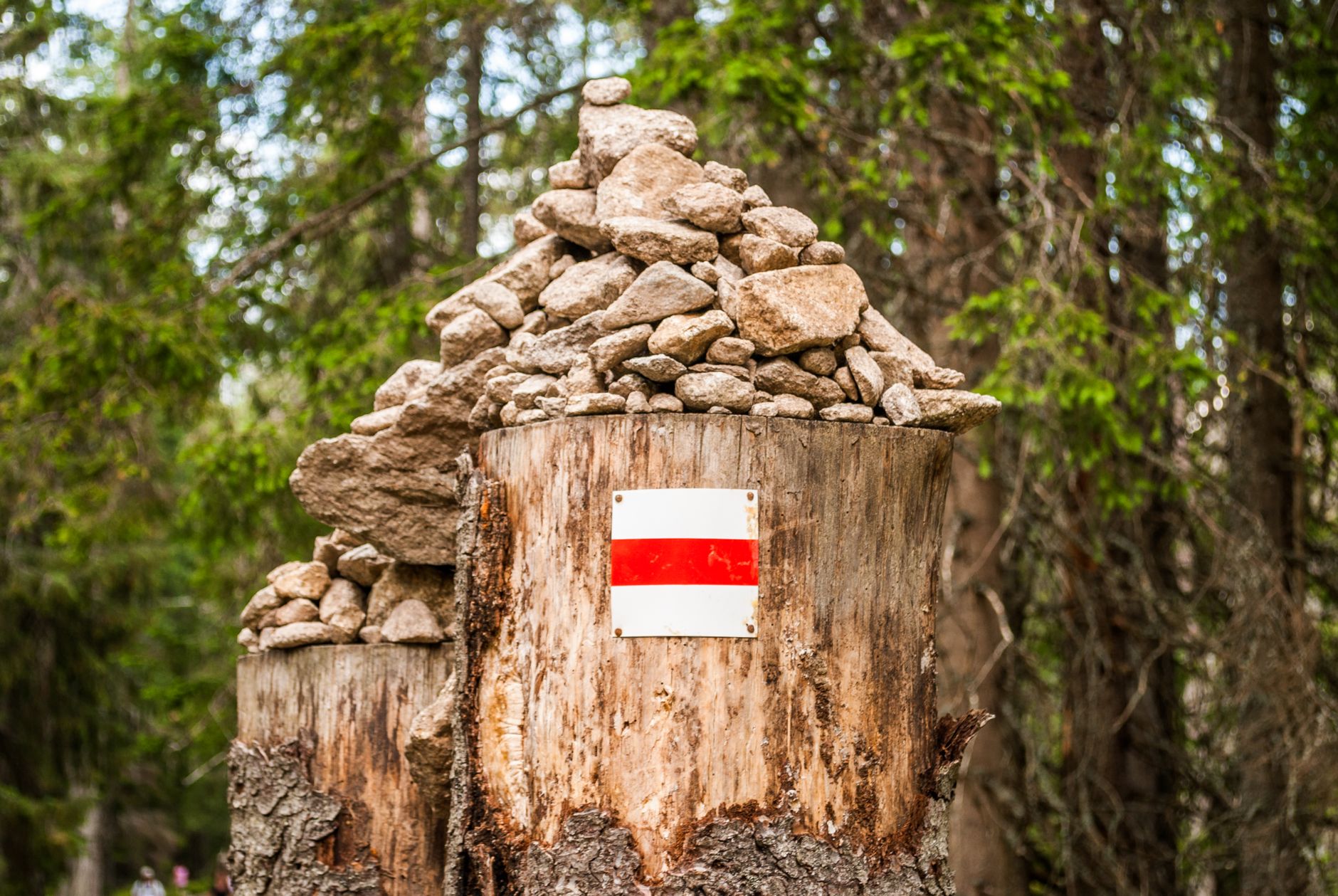 Stacked stones on a tree stump marked with a trail sign in Vysoké Tatry, Slovakia.