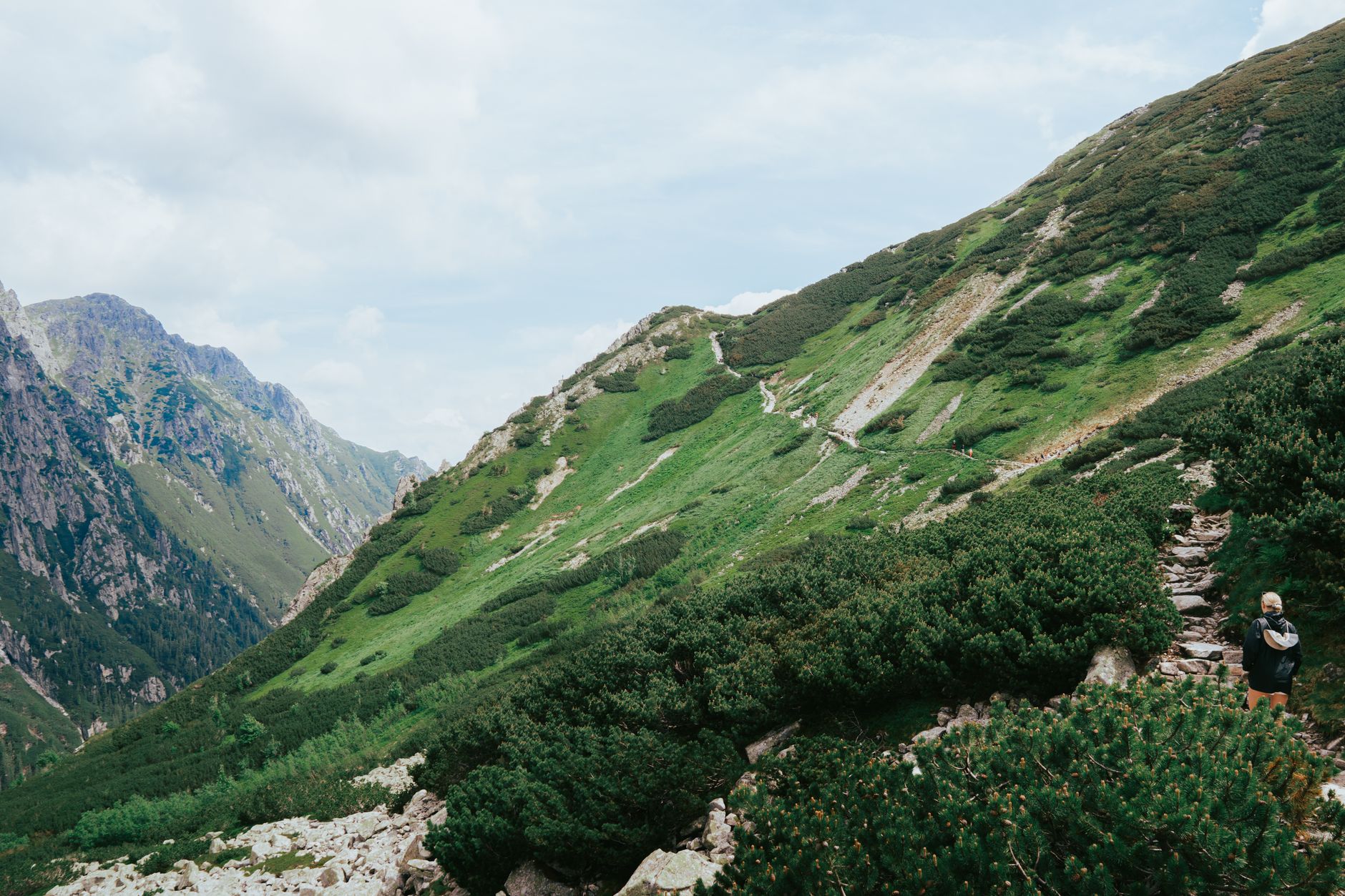 A hiker walks along a picturesque trail in the Tatras mountains, surrounded by lush, green scenery.