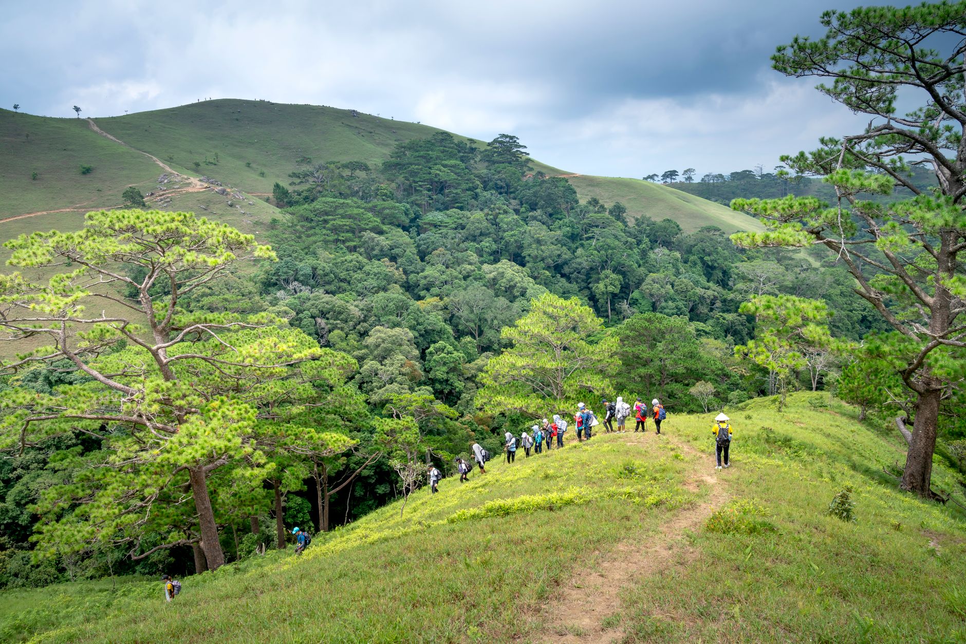 Unrecognizable travelers hiking on path in hilly terrain with forest between hills against cloudy sky on sunny summer day