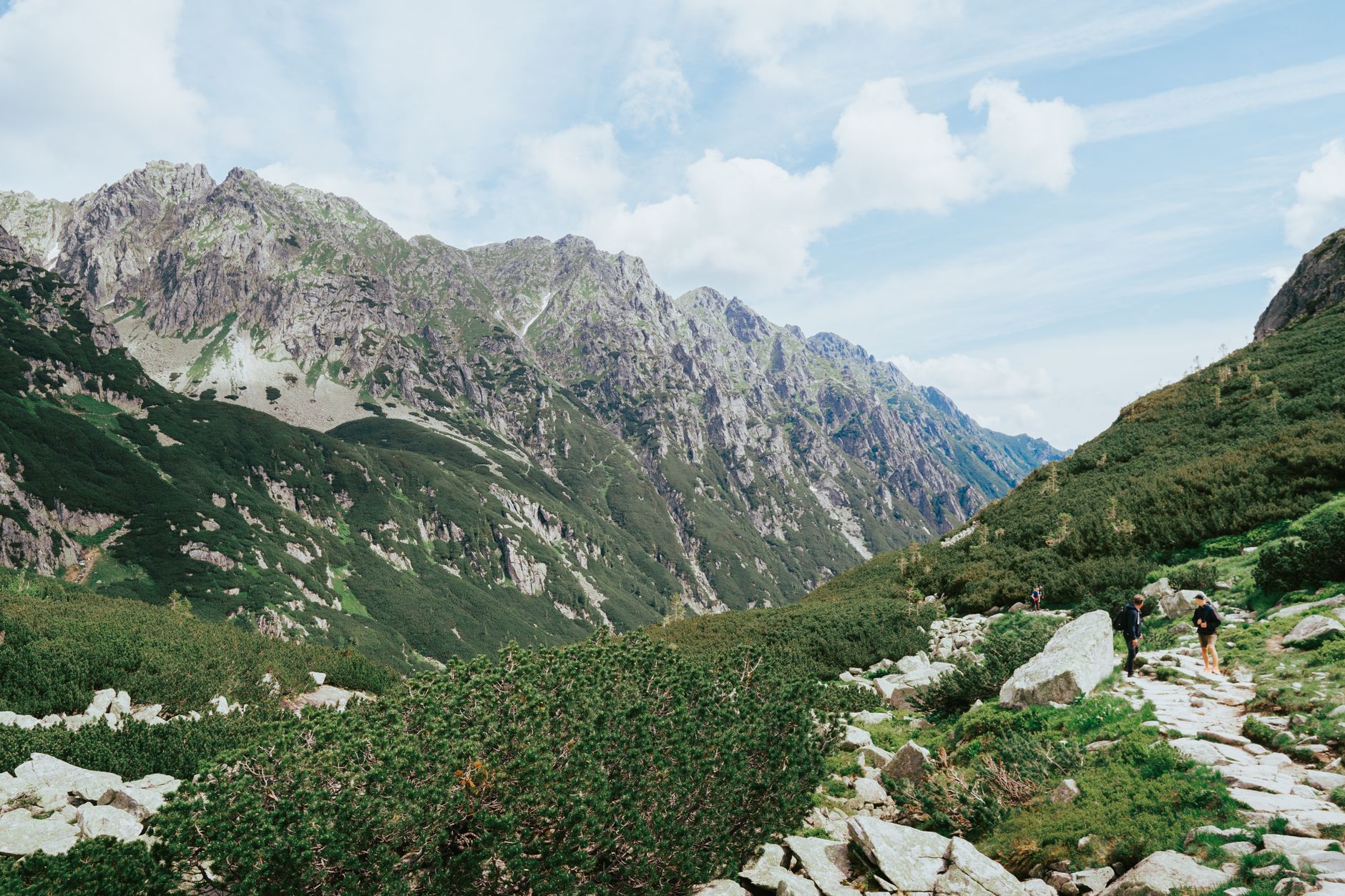 Beautiful view of a hiking trail in the Tatra Mountains with lush greenery and rocky slopes. Perfect for travel enthusiasts.