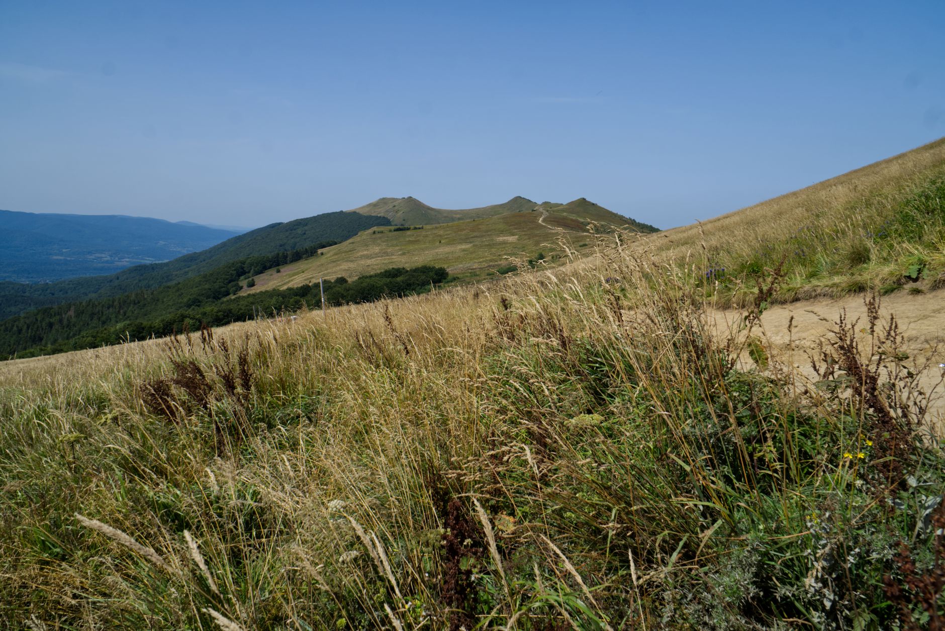Stunning summer landscape of Bieszczady Mountains with grassy pathways under a clear blue sky.
