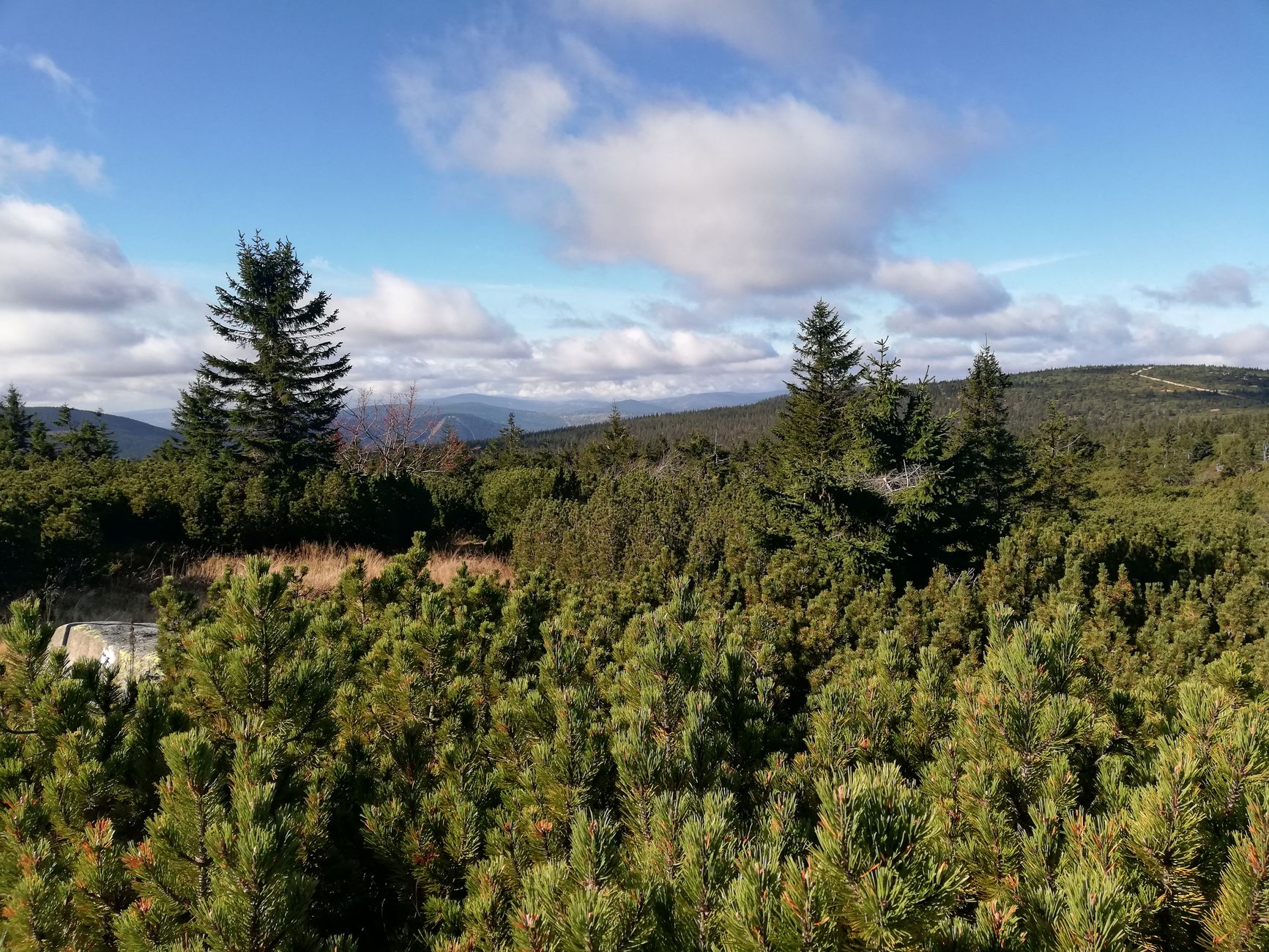 A scenic view of the Karkonosze Mountains with lush greenery and pine trees under a blue sky.