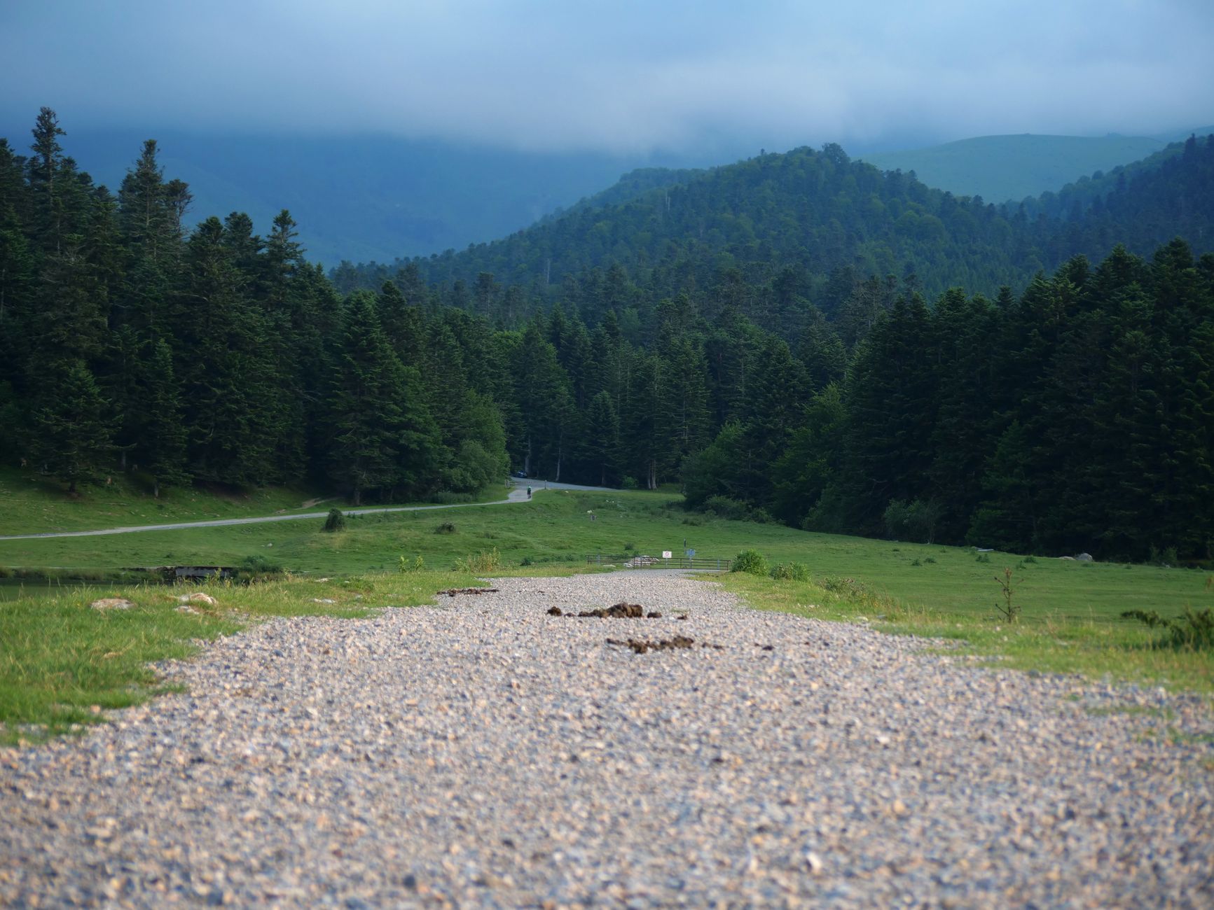A tranquil gravel path stretches through lush green forests with mountains in the distance.