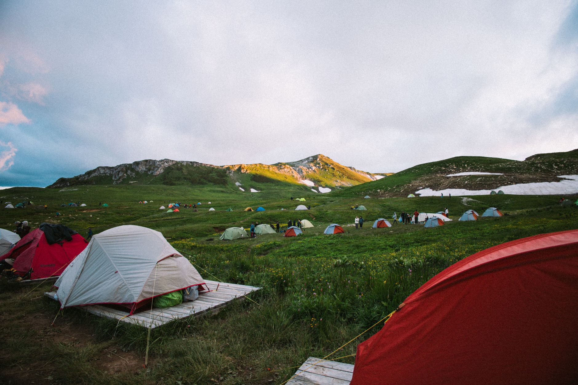 Colorful camping tents scattered on a lush, green mountain meadow during sunrise, creating a serene outdoor adventure scene.