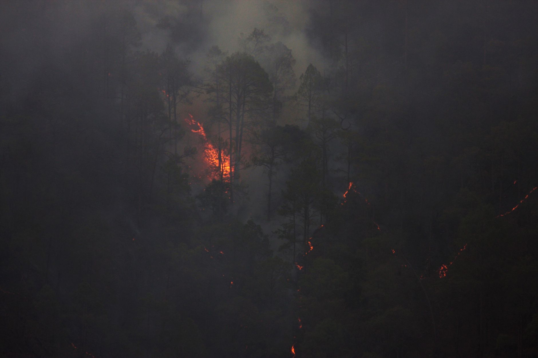 Smoky forest fire scene with glowing embers and dark misty atmosphere.