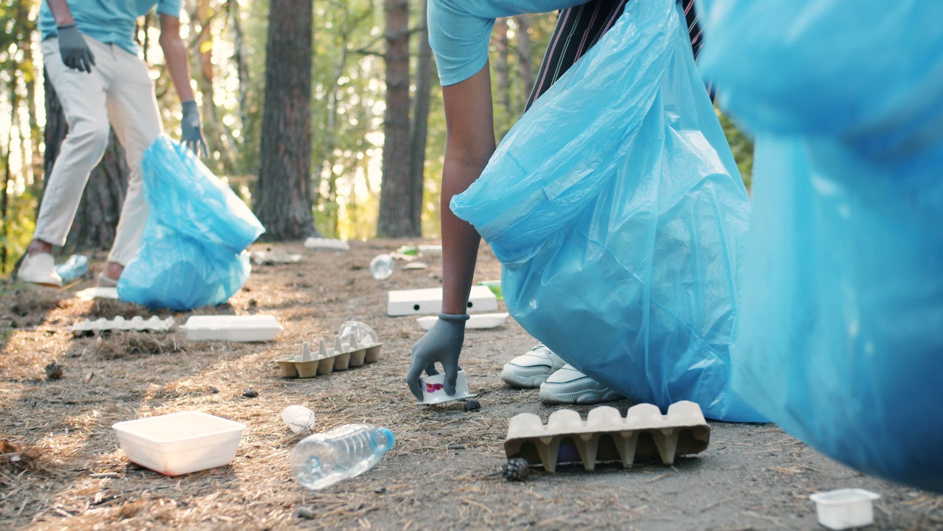 Group of volunteers cleaning litter in the forest with blue bags.