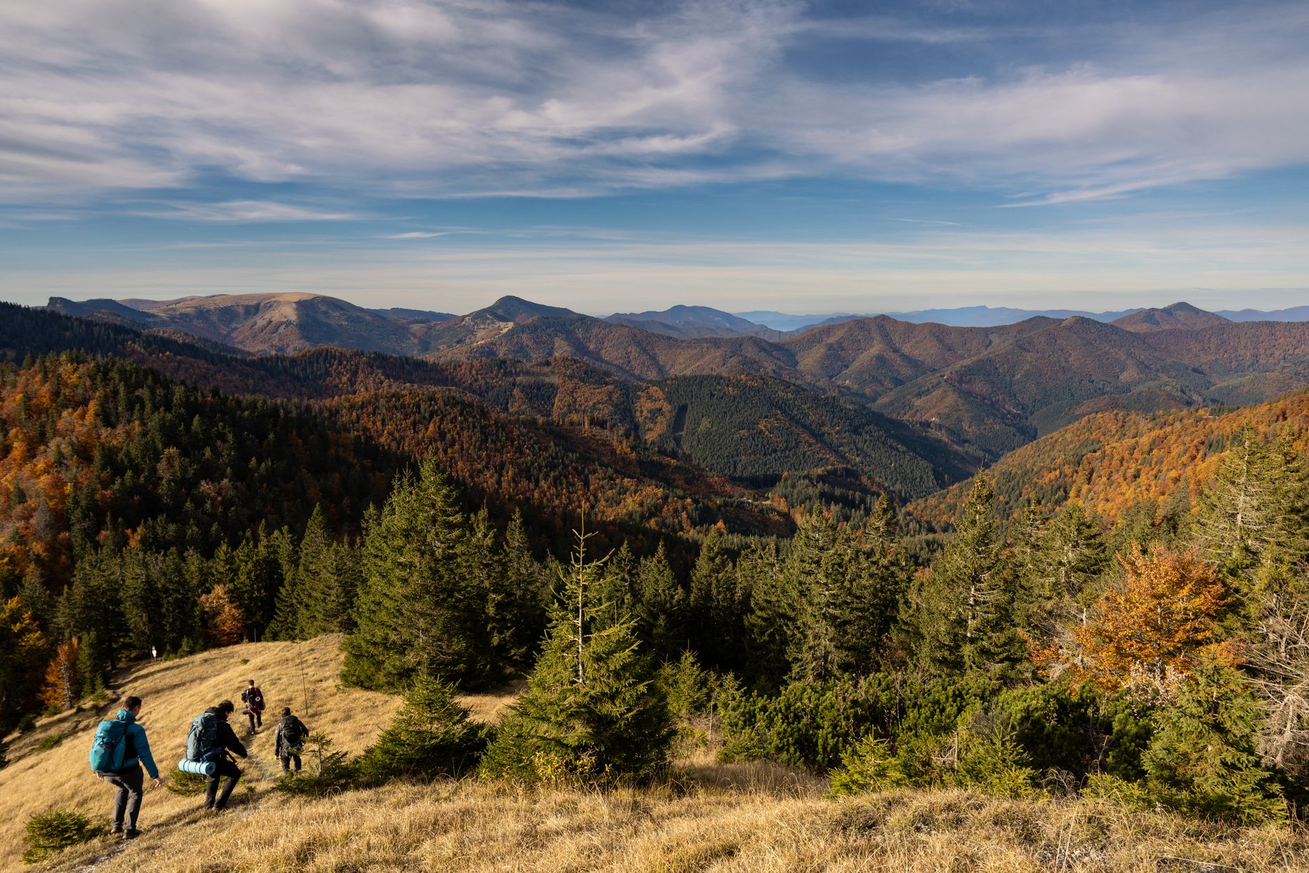 Group of hikers enjoying the beautiful autumn landscape in the mountains.