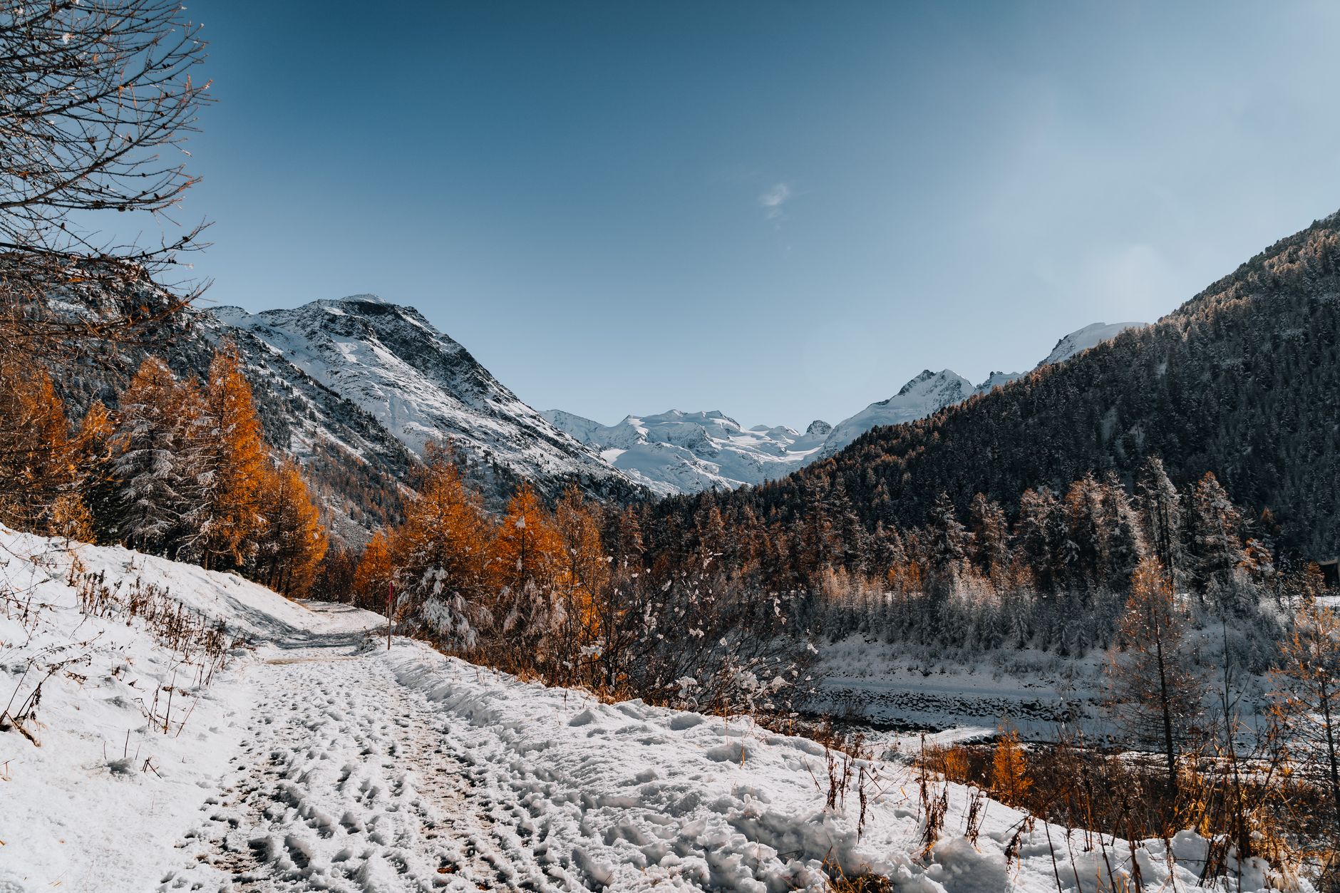 Pathway lined with snow and autumn trees in a mountain landscape under clear skies.