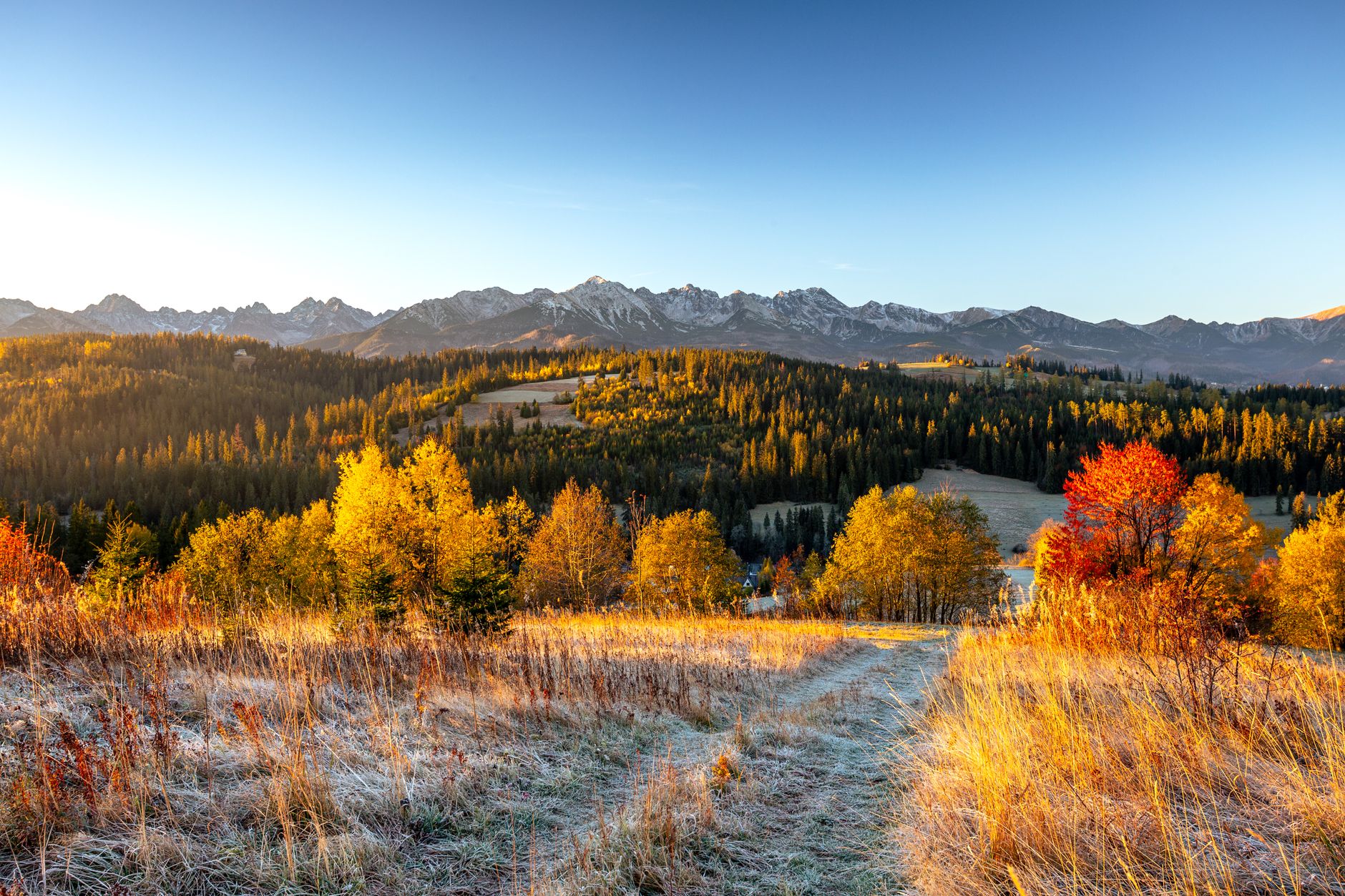 Golden autumn landscape of the Tatra Mountains in Poland at sunrise.