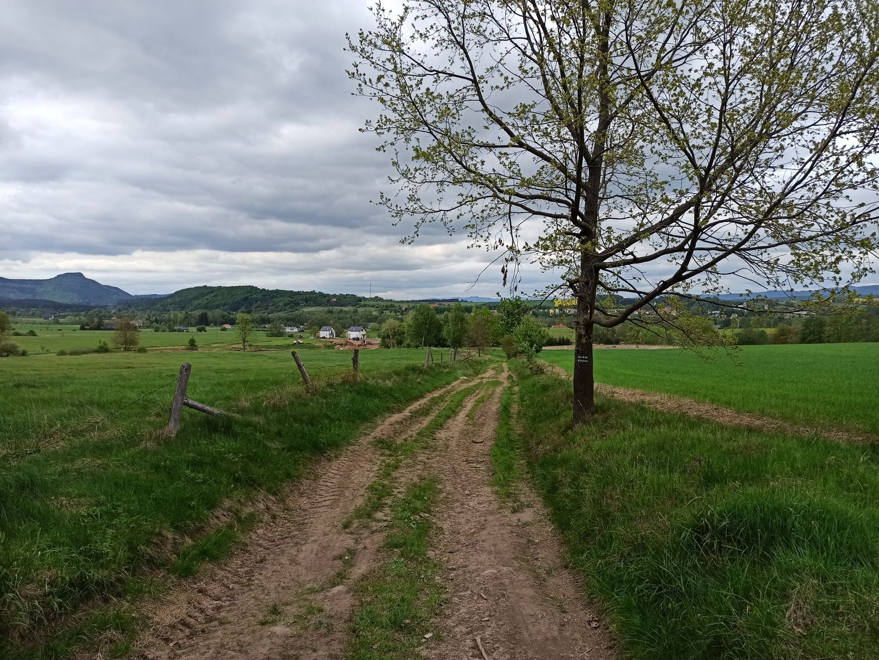 Tranquil rural pathway in Kudowa-Zdrój with lush greenery and distant mountains.