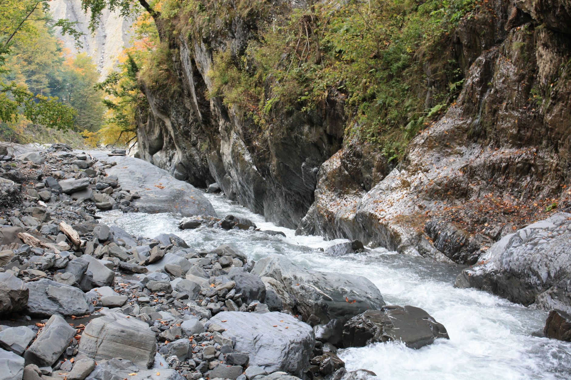 A beautiful river flowing through a rocky gorge surrounded by lush autumn foliage.