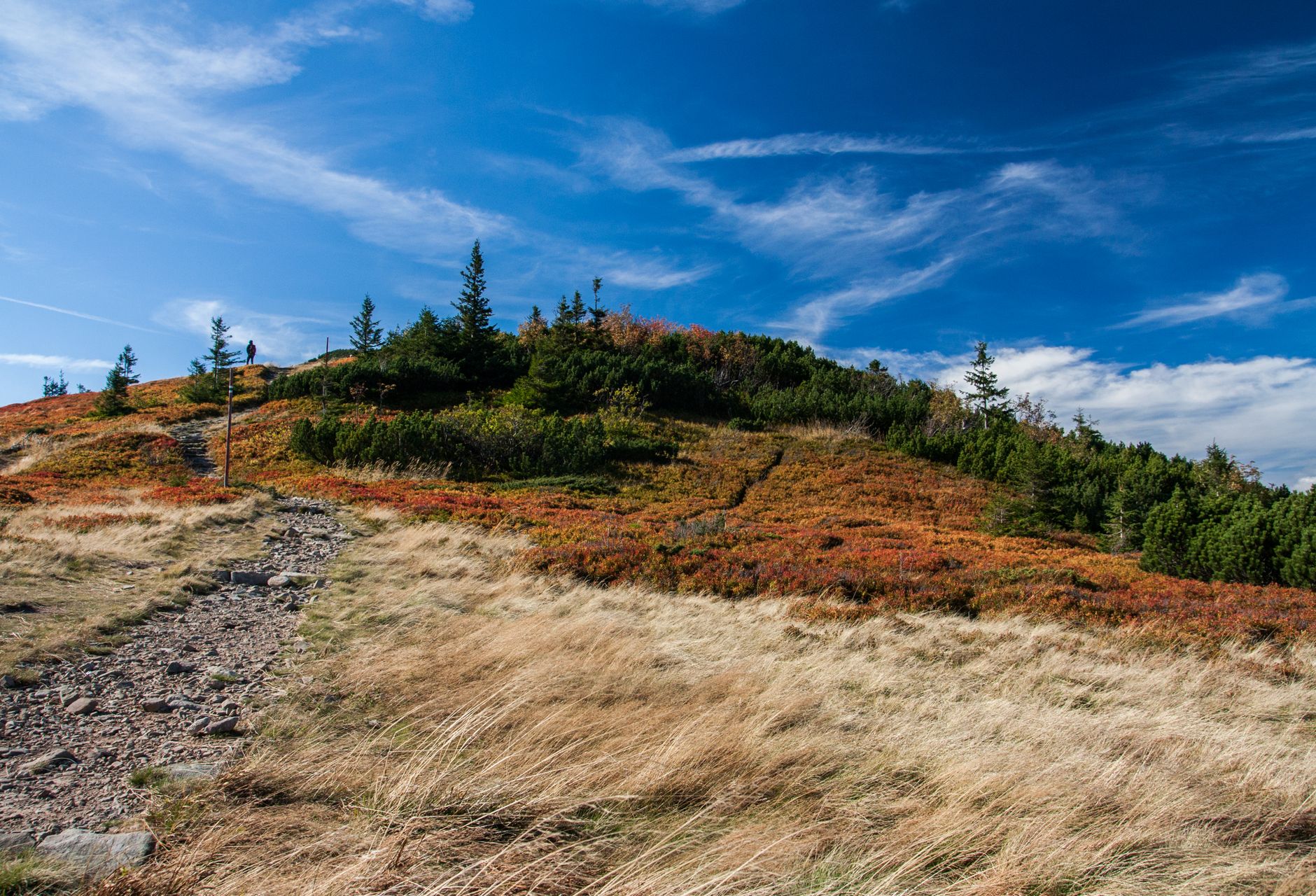 A picturesque autumn landscape in the Polish mountains with vibrant foliage.