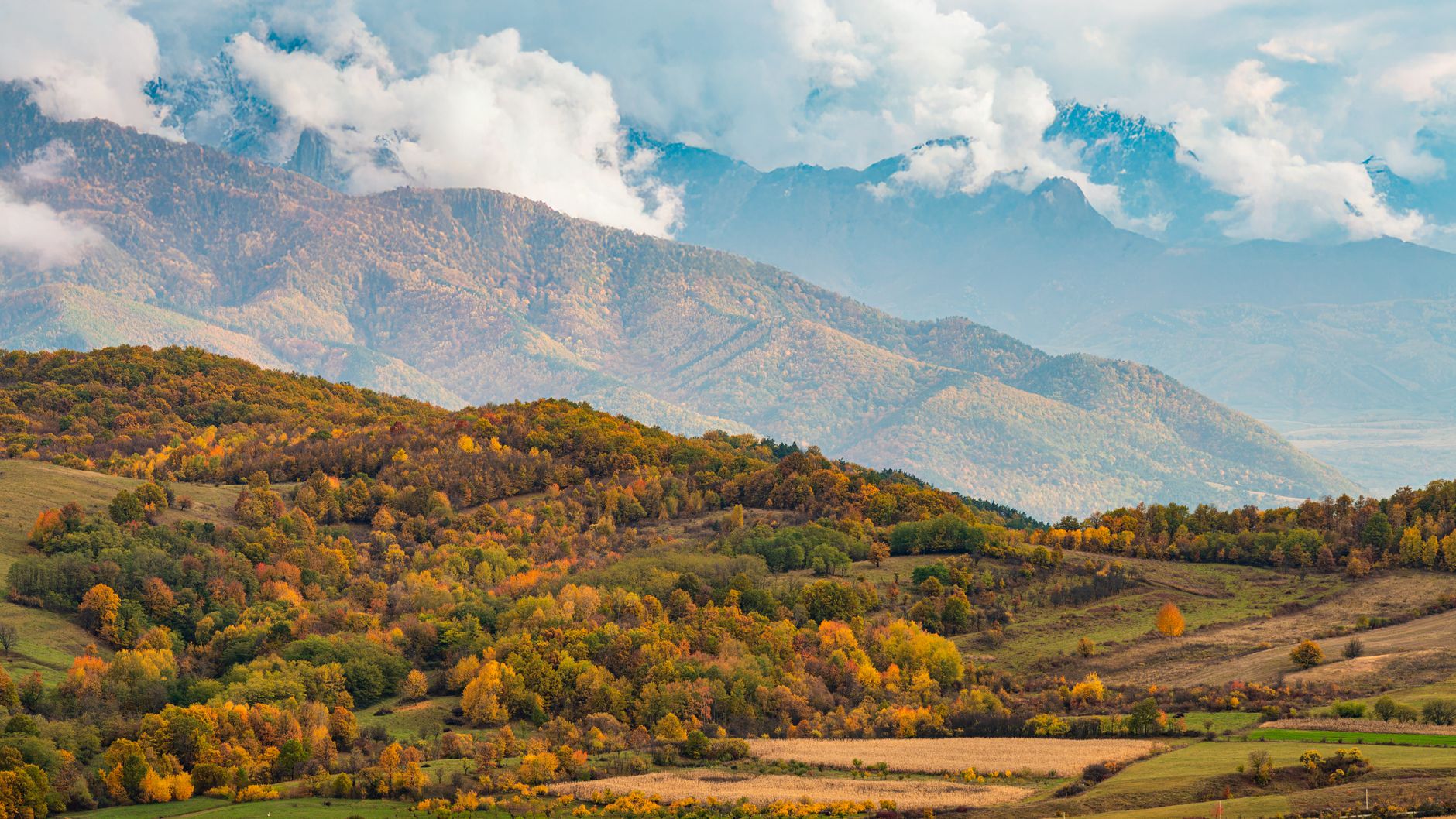 Explore the serene autumn landscape of the Carpathians with colorful foliage and misty mountains.
