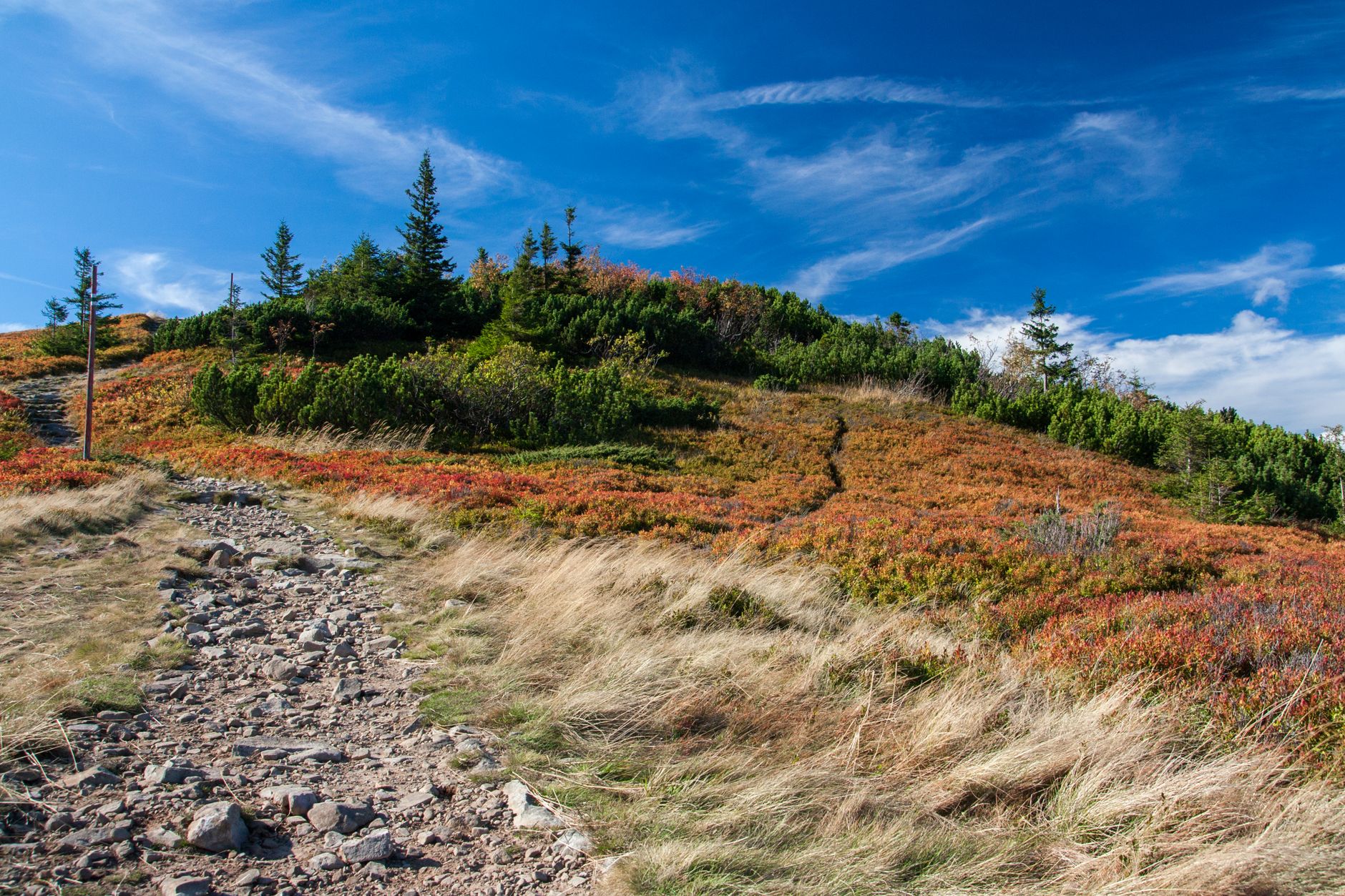 Rustic pathway through vibrant autumn foliage on a sunny day in Poland's mountains.