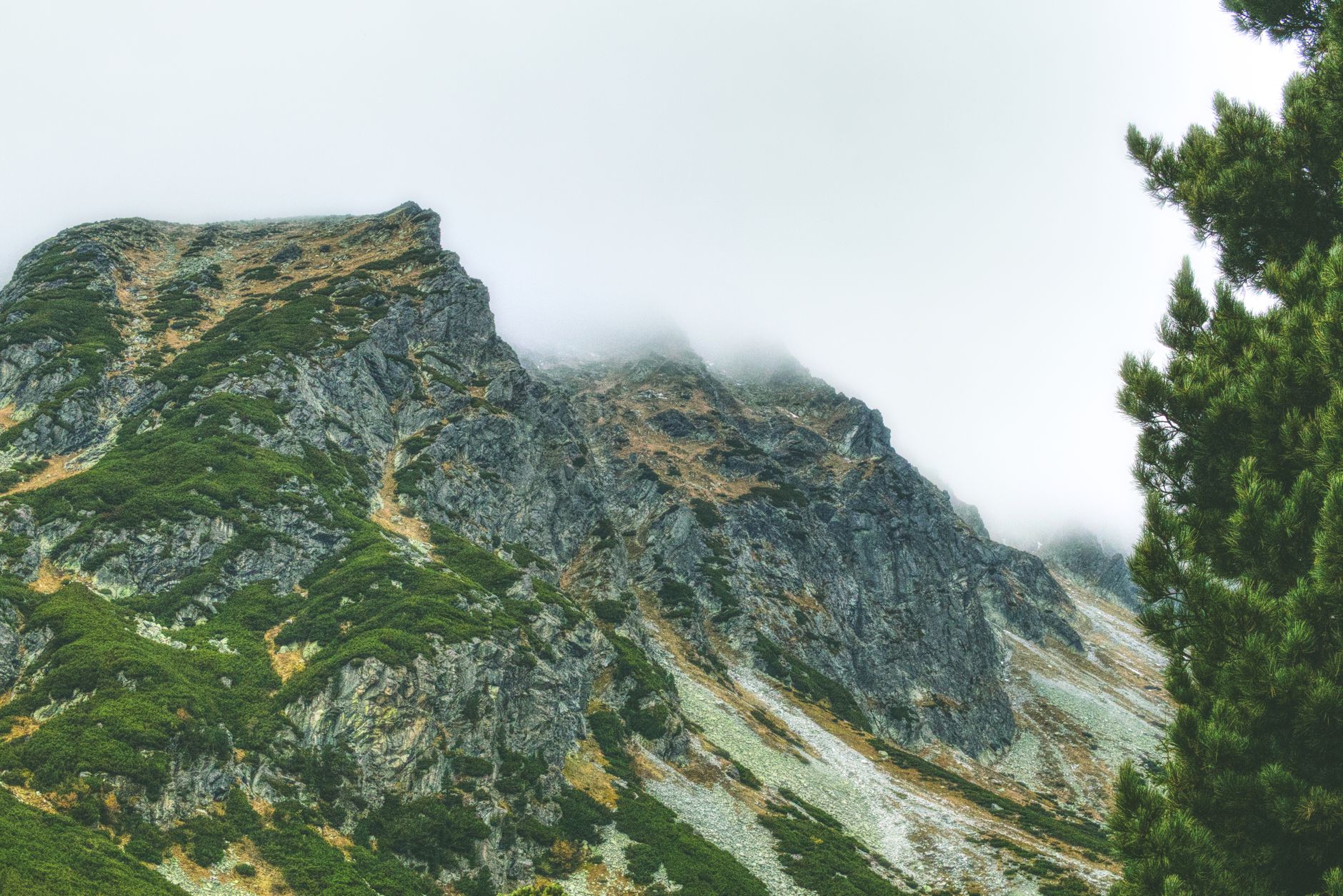 A dramatic view of the mist-covered peaks in High Tatras, Slovakia, showcasing natural beauty.
