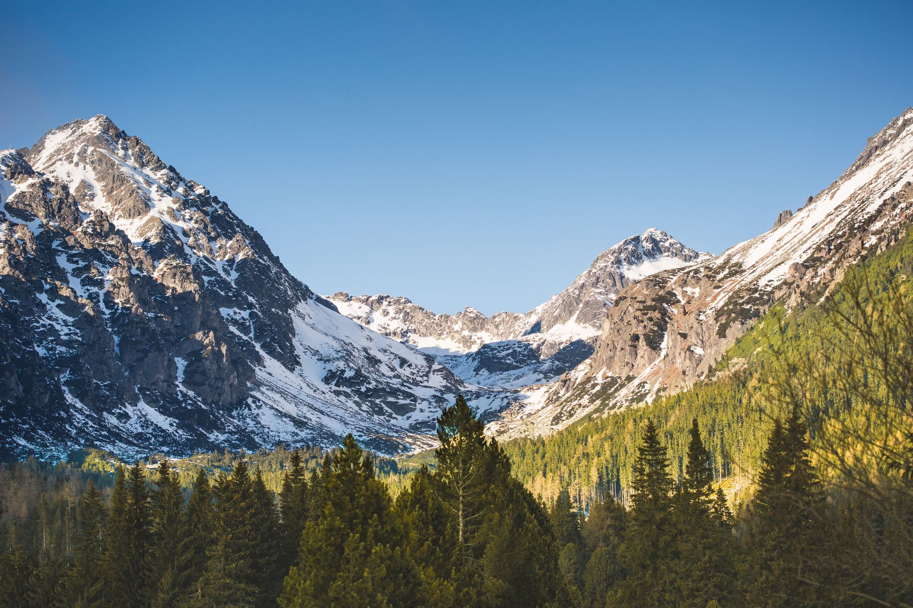 Breathtaking view of snow-capped mountains and forests in Vysoké Tatry, Slovakia.
