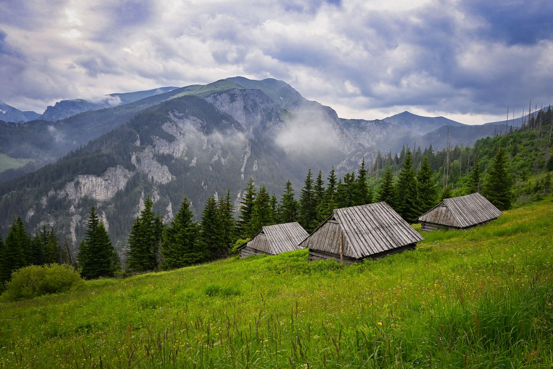 Beautiful wooden cabins nestled in the lush green landscape of the Tatra Mountains under a cloudy sky.