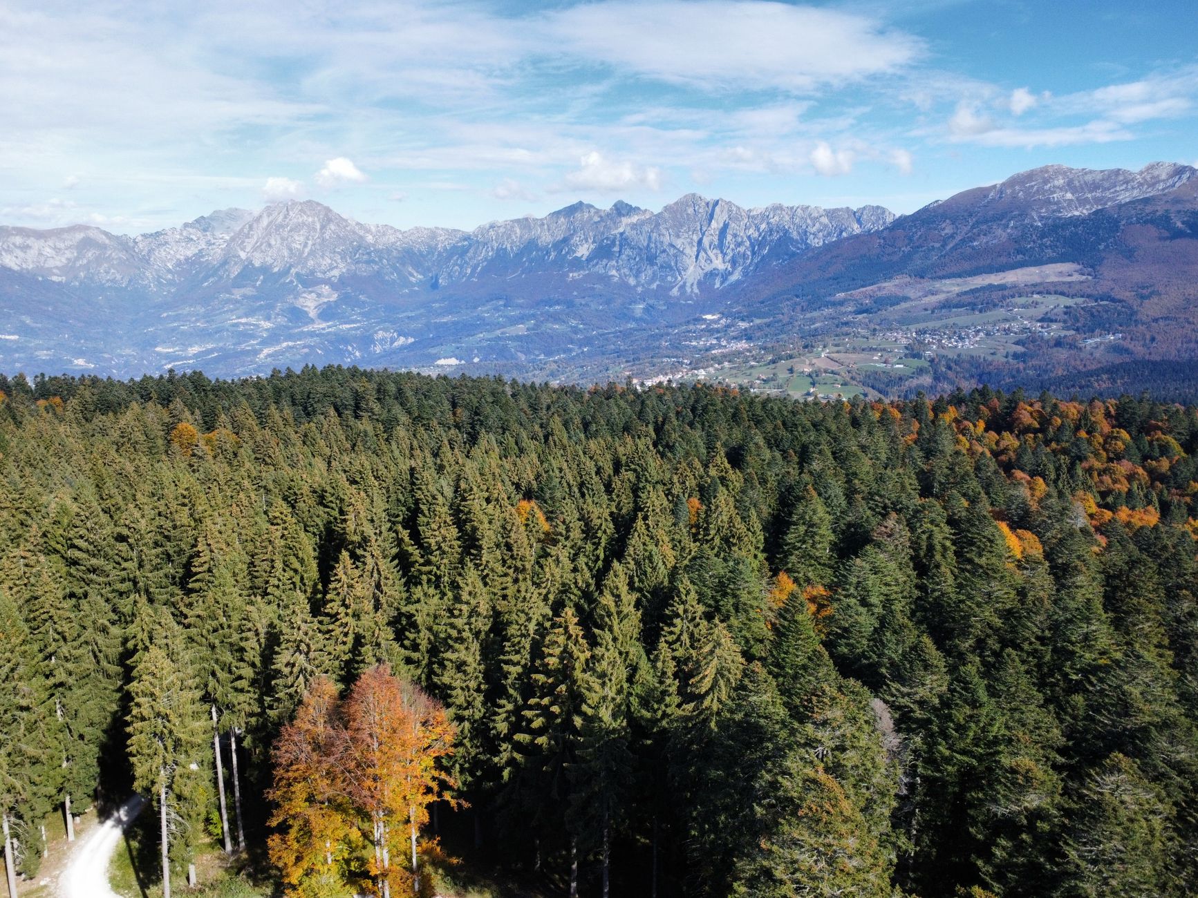 Breathtaking aerial shot of autumn colors in Pian del Cansiglio, Veneto with mountain backdrop.