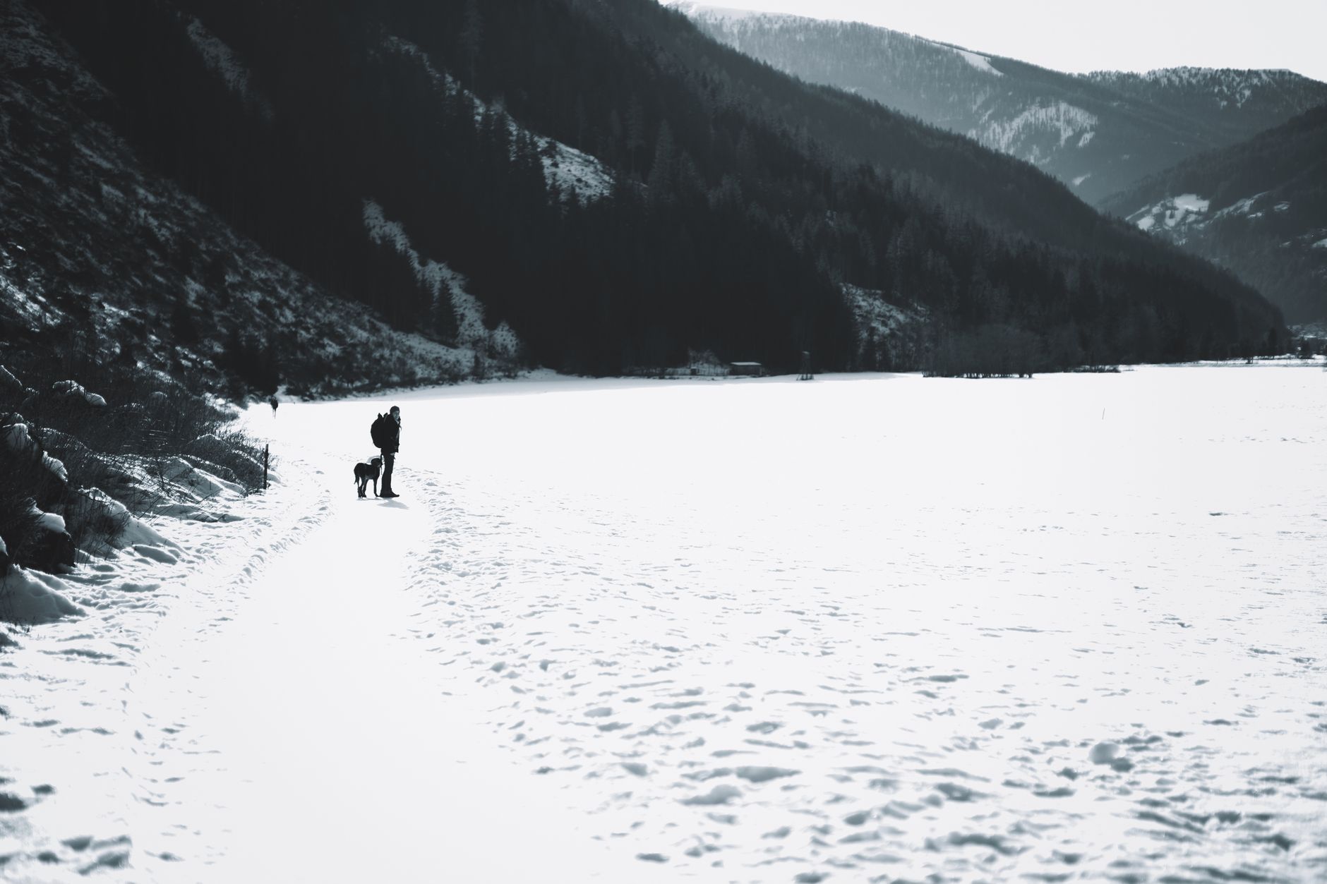 A lone hiker and dog traverse a snow-covered path amid majestic mountains.